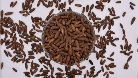 Pignons de pin d'Afghanistan