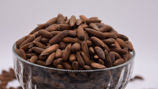 Pignons de pin d'Afghanistan