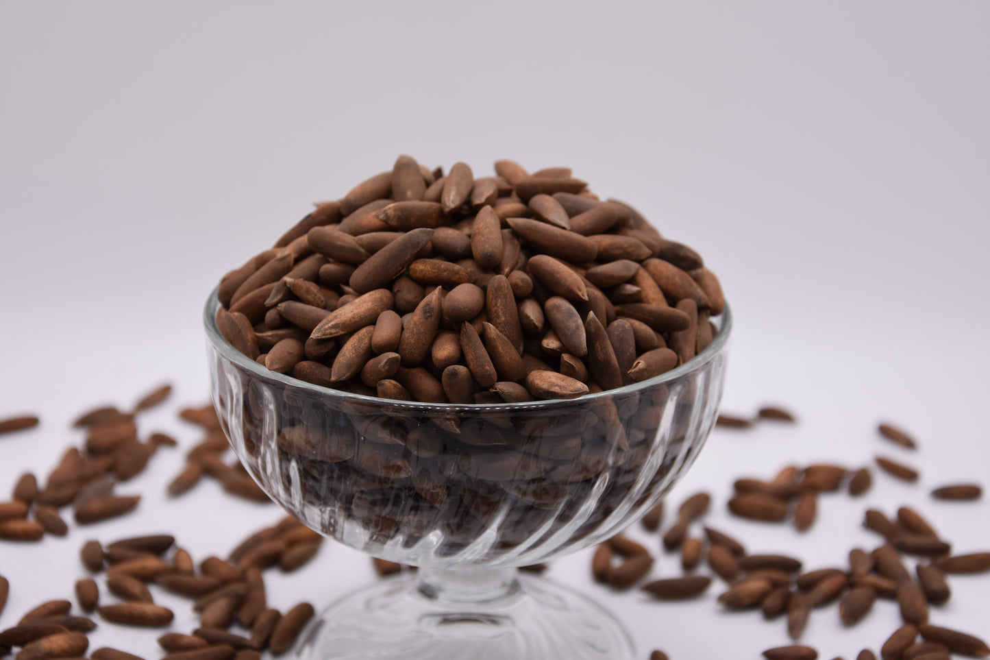 Pignons de pin d'Afghanistan